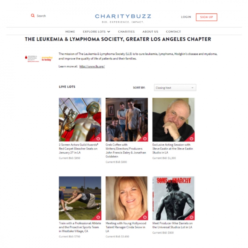 Charity%20Buzz.jpg