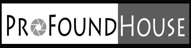 Profound House Logo