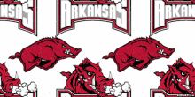Razorbacks