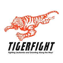 TigerFight